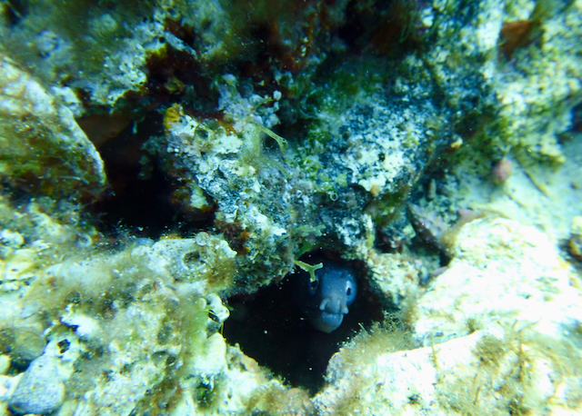 Stacks Image 45