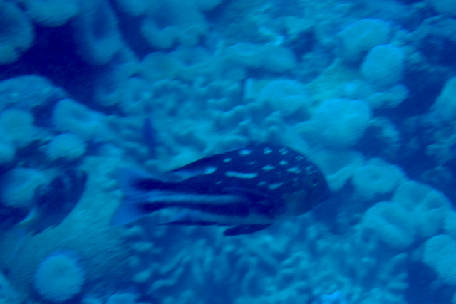 Stacks Image 609