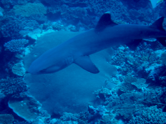 Stacks Image 722
